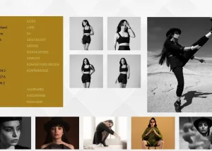 طراحی وب سایت فیزا مدلینگ